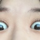 뷰티숲 이미지