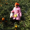 샛별단지_서 이미지