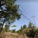 덕수교차로(평화로) 이미지