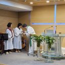 2025년 09월 14일 성령강림일 후 열넷째 주일 예배 이미지