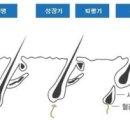 가인뷰티 - 천안시 동남구 청수11로 18 | 가인뷰티