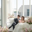 네스스튜디오 이미지
