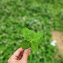 사랑몬테소리어린이집 이미지