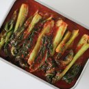 여수 갓김치 택배후기 로 맛본 국내산 찐갓 황제 돌산갓김치