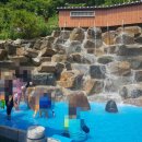 합천 저팔계 참숯불구이 이미지