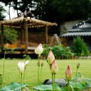 낭산다례원 이미지