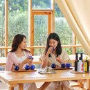 (주)필테크 이미지