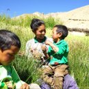 버블타운 이미지