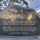 진고개교 네이버블로그
