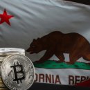 (주)넥소 이미지