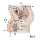 닥터맘 - 천안시 동남구 | 닥터맘