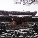 안미장리 이미지