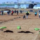 박종일농장 이미지