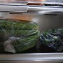 절임과정없이 담근 오이소박이 이미지