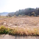 반곡 농장 이미지