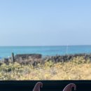 제주 월령리 선인장군락 | 제주 월령리 선인장 군락 오션뷰 카페 R14 백년초 아이스크림 후기