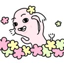 두모가J 이미지