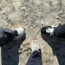 별빛공원 앞 횡단보도 | 호주 시드니 패더데일 동물원 블루마운틴 선셋 별빛투어 날씨 호주무한투어 내돈내산 후기