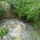 대주농장 이미지