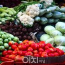 수협할인마트 이미지