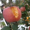 혜림농장 이미지