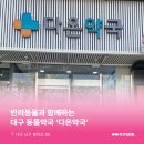 다온약국 이미지