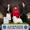 꼬똥몽드 이미지