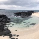 홍조단괴 탈의장(서빈백사) 이미지