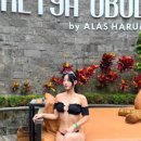 궁전투 이미지