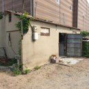 부산개발 주식회사 - 서구 | 부산 오래된 주택 철거 | 부산 녹산동 노후 주택 철거 현장 후기