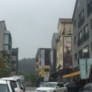 뮤 동물병원 미용실 이미지