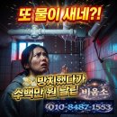 경일사철물누수탐지 | 청정아파트 오수배관 누수