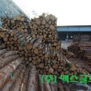 디자인산해 이미지