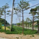 강원국제공인중개사사무소 네이버블로그