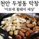 이모네 꽃돼지