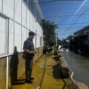 신기한 동식물여행 2 | 깐깐징어와 함께하는 11월 대만여행 feat.완전 추천하는 이란투어👍[1탄:카피바라편]