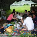 푸른솔농장4 이미지