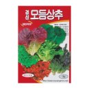 씨앗