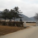 모곡초등학교 이미지