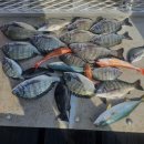 풍경이있는펜션 이미지