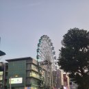 샤론헤어클럽 - 미추홀구 | 돈키호테 추천템 쇼핑리스트 나고야 사카에점 카카오페이 결제 할인 후기