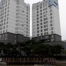 도룡길 5번길 11 이미지