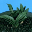 둥글이네 이미지