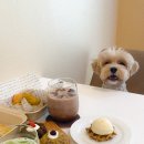 개네집곳간 이미지