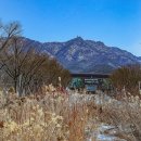 산책길 이미지