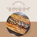 상주민물장어이야기