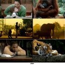 AP 동물병원 이미지