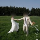 13헤르츠 | 강릉 야외 웨딩 스냅 도주재, 드레스 메이크업 토탈샵 보떼헤르츠 계약 후기, 강릉 스냅 촬영 추천