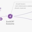 에스테틱바이오주식회사 이미지