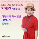 이애경 애창곡 1집 - 사랑이여 다시한번 & 나쁜 남자 & 평행선 이미지